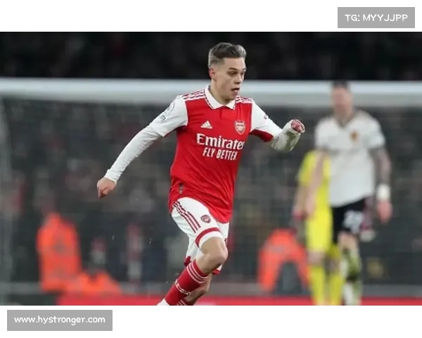 德甲前腰核心球员分析与发展趋势探讨 德甲前腰核心球员分析与发展趋势探讨